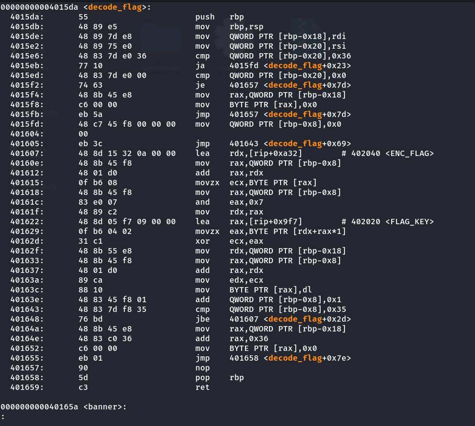 decode_flag disassembly decode_flag disassembly