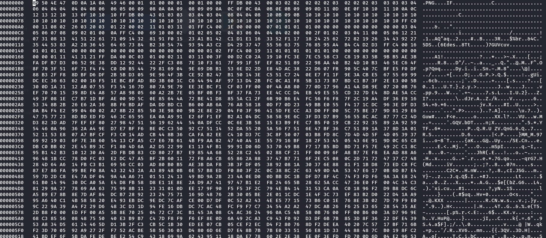 Hex dump of the corrupted header Hex dump of the corrupted header