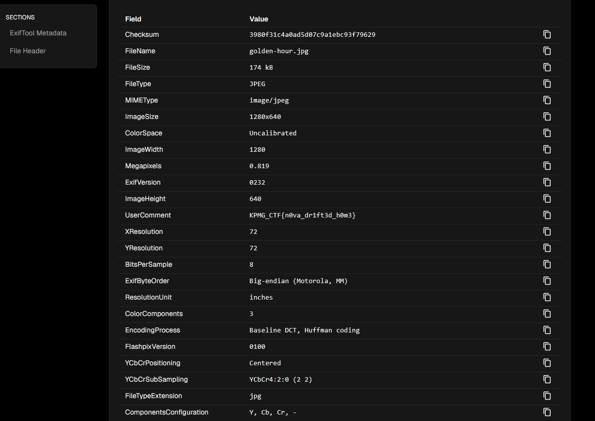 ExifTool metadata showing the flag in UserComment ExifTool metadata showing the flag in UserComment